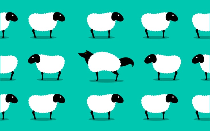 Are-Your-Business-Rules-Being-Followed