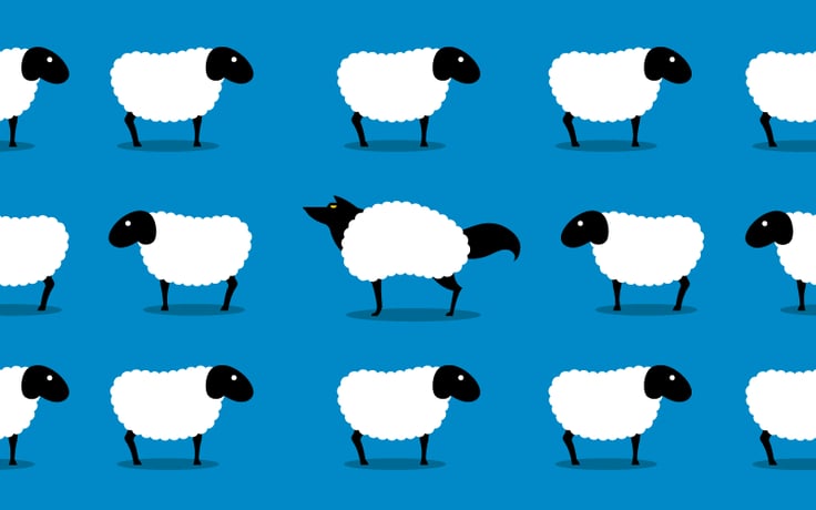 Are-Your-Staffing-Firms-Rules-Being-Followed