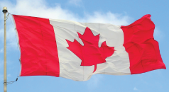 VAT-Alert-Canada-new-238x130.png