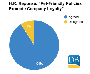 pet-friendly survey results at expense management company