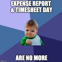 TimesheetExpenseReportDayNoMore.jpg