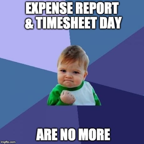 TimesheetExpenseReportDayNoMore.jpg