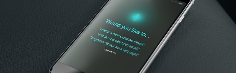 VoiceCommand-DATABASICS-blog-skinny.jpg