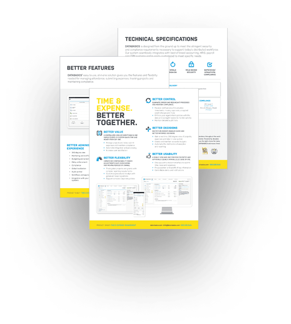 DATABASICS: A Modern Alternative to Outdated Tech | DATABASICS